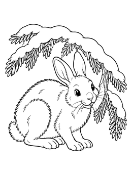 Free printable Cute Snowshoe Hare Under Spruce Branch coloring page