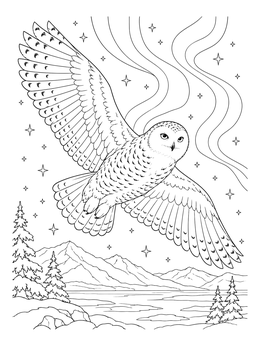 Majestic snowy owl coloring page flying across a starry northern sky with aurora ribbons.