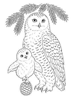 An adult and chick snowy owl coloring page with pine boughs.