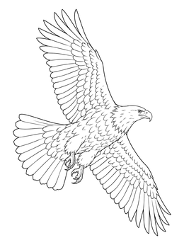 A detailed bald eagle coloring page showing the bird banking with wings wide open.