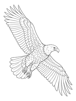A realistic bald eagle coloring page showing the majestic bird gliding with outstretched wings.