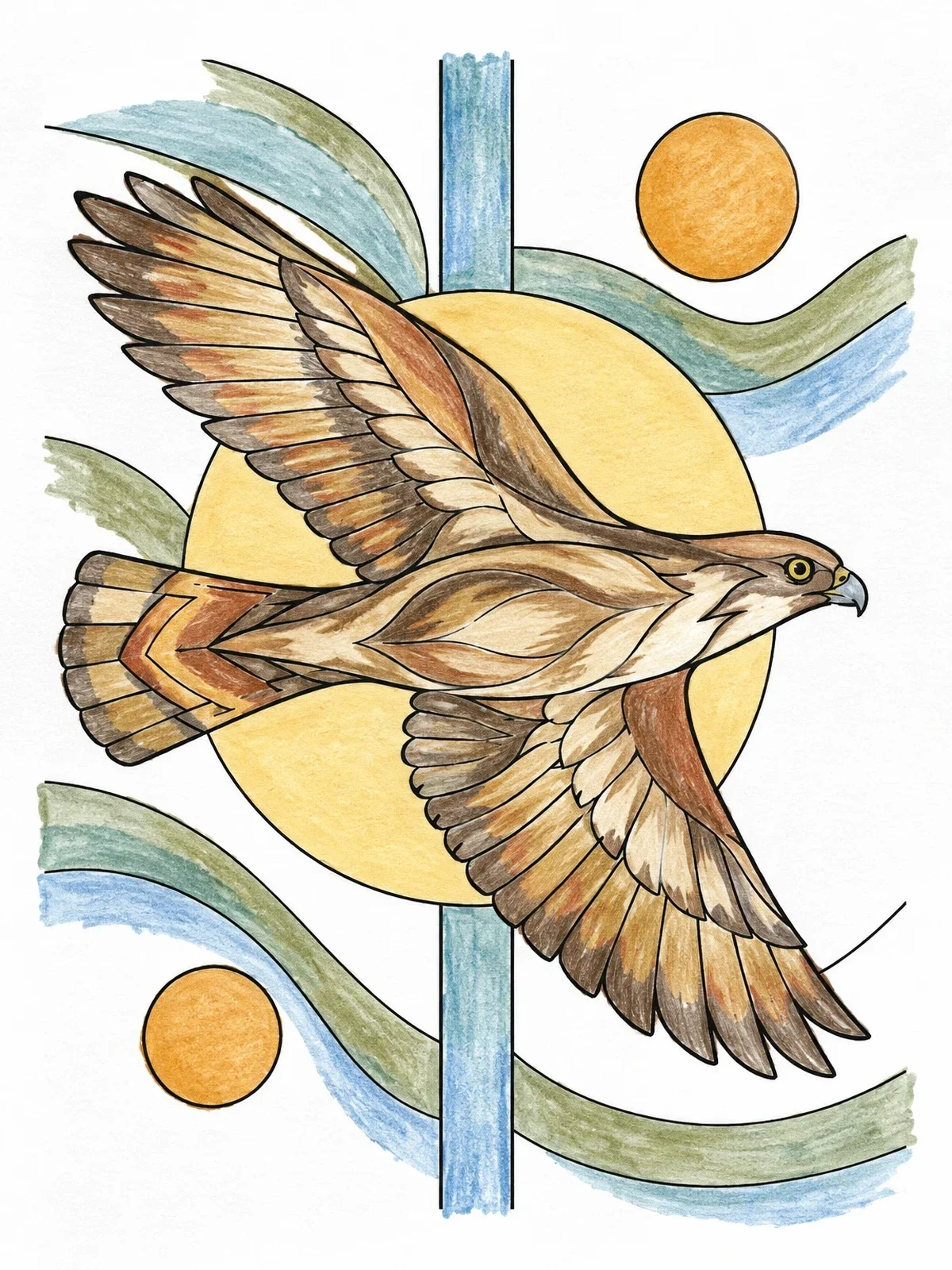 Colored example of the Soaring Hawk In Flight coloring page