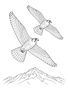 Two majestic birds in flight in this detailed falcon coloring page above mountains.