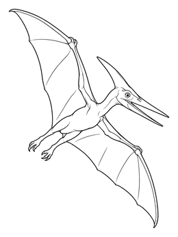 A gliding pterodactyl coloring page features wide wings and sharp beak details.