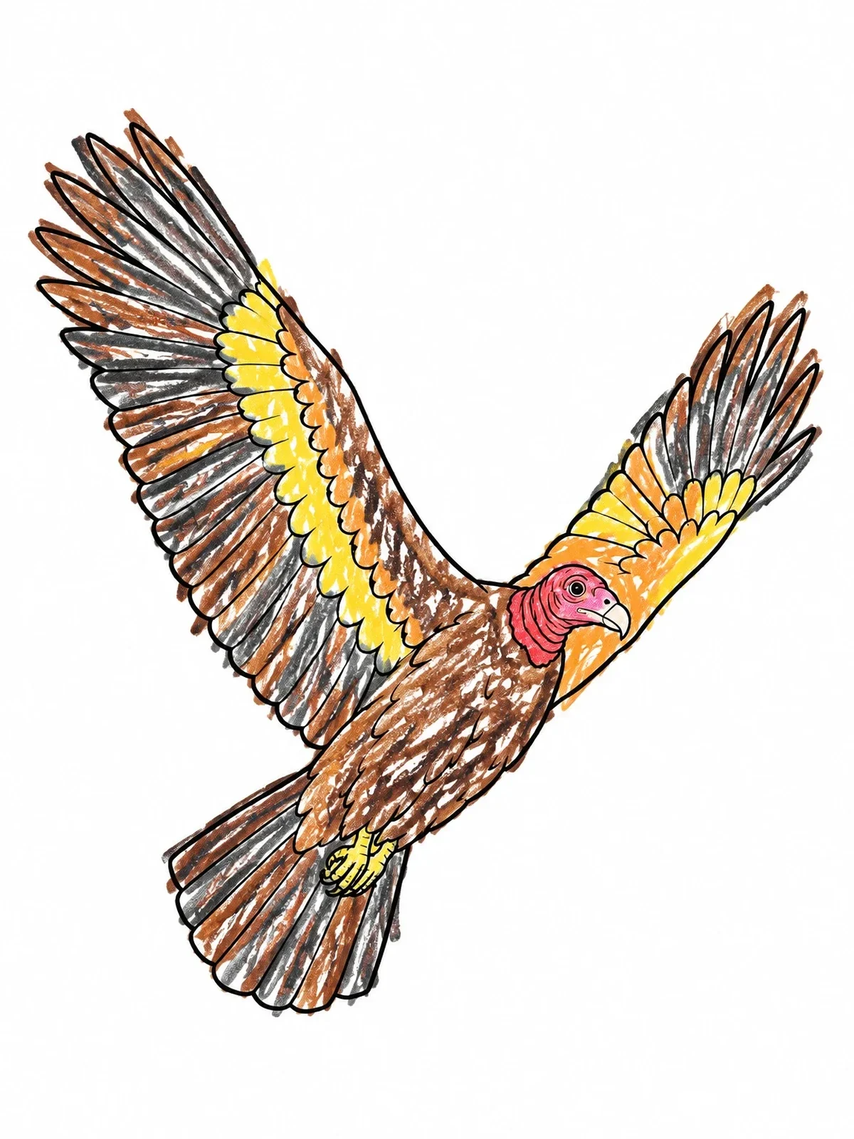 Colored example of the Soaring Turkey Vulture In Flight coloring page