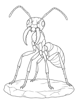 A detailed soldier ant coloring page resting on a stone base.