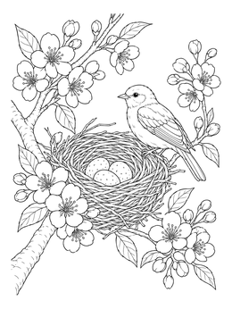 A peaceful bird nest coloring page with speckled eggs resting among blooming spring cherry blossoms.