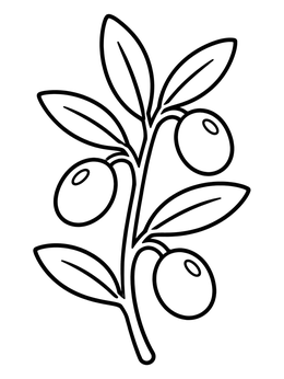 Free printable Simple Olive Branch With Olives coloring page