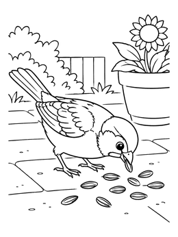 Free printable Little Sparrow Eating Sunflower Seeds coloring page