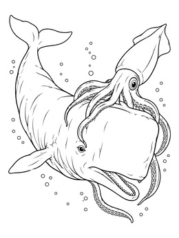 A giant squid clings to a massive whale in this dynamic sperm whale coloring page.
