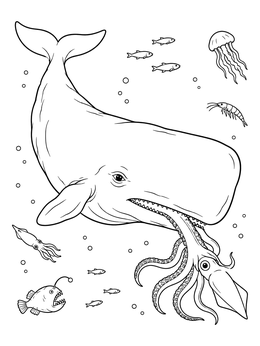 A detailed sperm whale coloring page showing the ocean giant catching a squid alongside other deep-sea creatures.