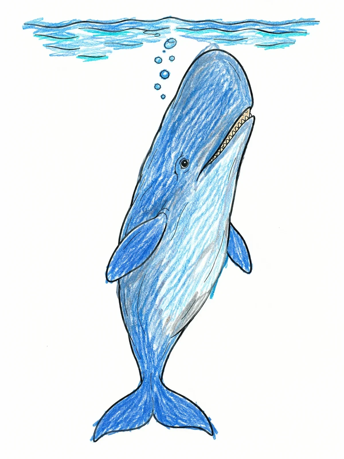 Colored example of the Sperm Whale Rising To Surface coloring page