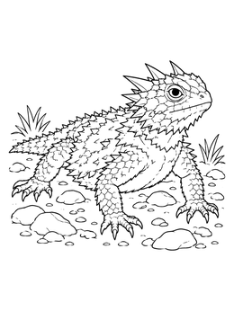 A detailed horned lizard coloring page resting on desert ground with rocks.