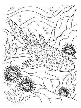 A detailed carpet shark rests on an ocean ledge surrounded by sea urchins in this shark coloring page.