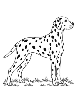 An alert dog stands in profile on this dalmatian coloring page with grass details.