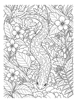 A detailed salamander coloring page crawling through leaves and delicate forest flowers.