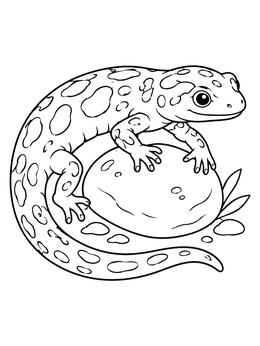 A detailed spotted salamander coloring page curled gracefully atop a round river rock.