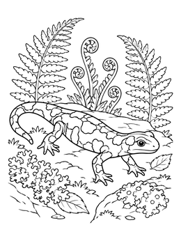 A detailed salamander coloring page showing the amphibian crawling past curled ferns and moss.