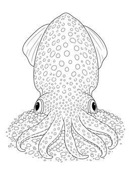 A detailed squid coloring page showing a spotted cephalopod resting on sand.