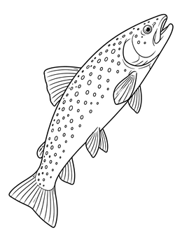 A detailed trout coloring page showing a spotted freshwater fish swimming upward.