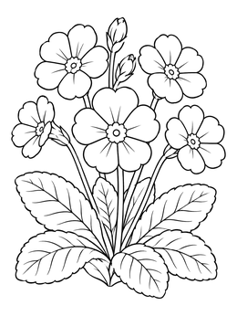 Detailed spring flowers coloring page showing blooming primrose blossoms and textured leaves.