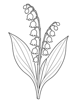 Lily of the valley blooms in this spring flowers coloring page.