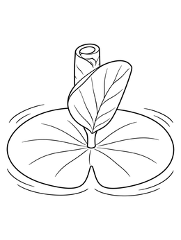 A peaceful lily pad coloring page featuring a young sprout emerging above calm water ripples.