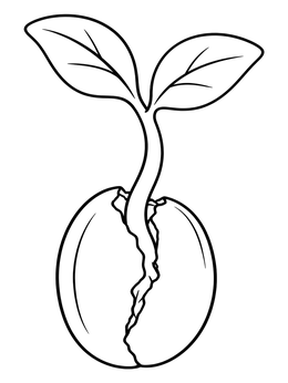 A small green plant sprouts from a cracked seed in this hope coloring page.