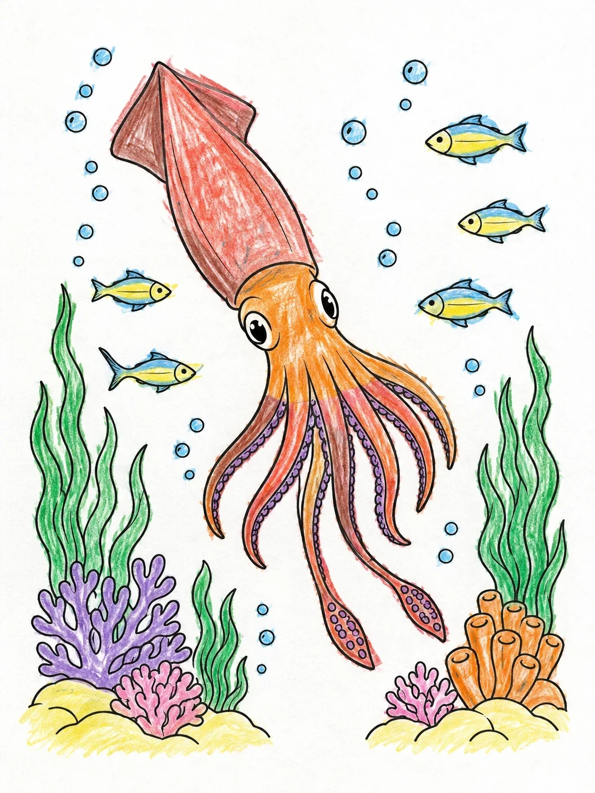 Colored example of the Squid Swimming Over Coral Reef coloring page