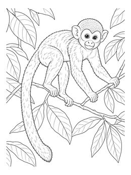 A squirrel monkey coloring page perched on slender tree branches among rainforest leaves.