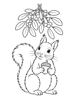 A squirrel holds an acorn under leafy branches in this mistletoe coloring page.
