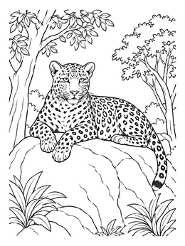 Free printable Sri Lankan Leopard On A Rock coloring page