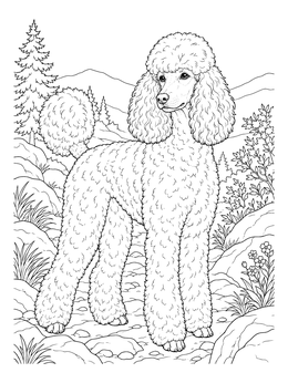 Detailed poodle coloring page featuring an elegant dog standing on a mountain path.