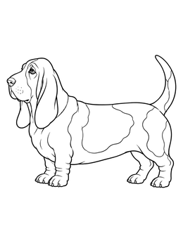 Free printable Standing Basset Hound In Profile coloring page