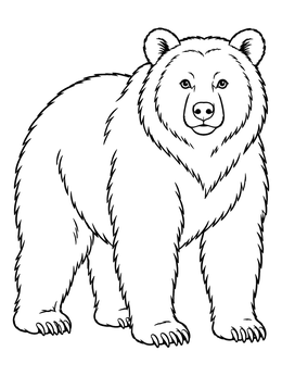 A sturdy brown bear coloring page standing calmly on all four paws.