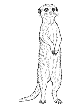 Free printable Standing Sentinel Meerkat Line Art coloring page