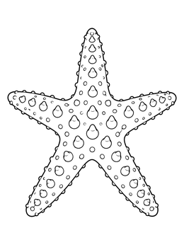 Detailed starfish coloring page showing a chocolate chip sea star with textured knobs.