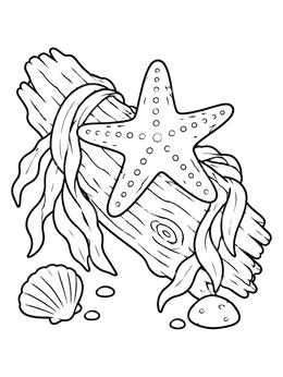 A sea star coloring page showing a starfish on ocean driftwood wrapped in seaweed with a seashell.