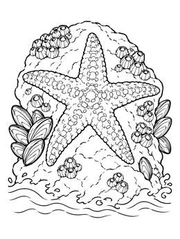 A detailed starfish coloring page showing a sea star resting on a rock with barnacles and mussels.