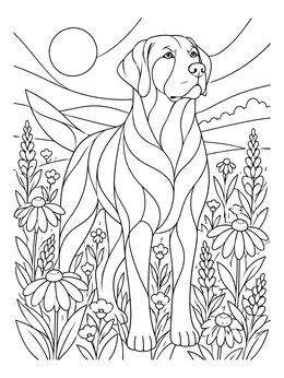 Stately Labrador in Flower Meadow coloring page