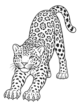 A detailed jaguar coloring page shows the large spotted cat stretching its front paws forward.