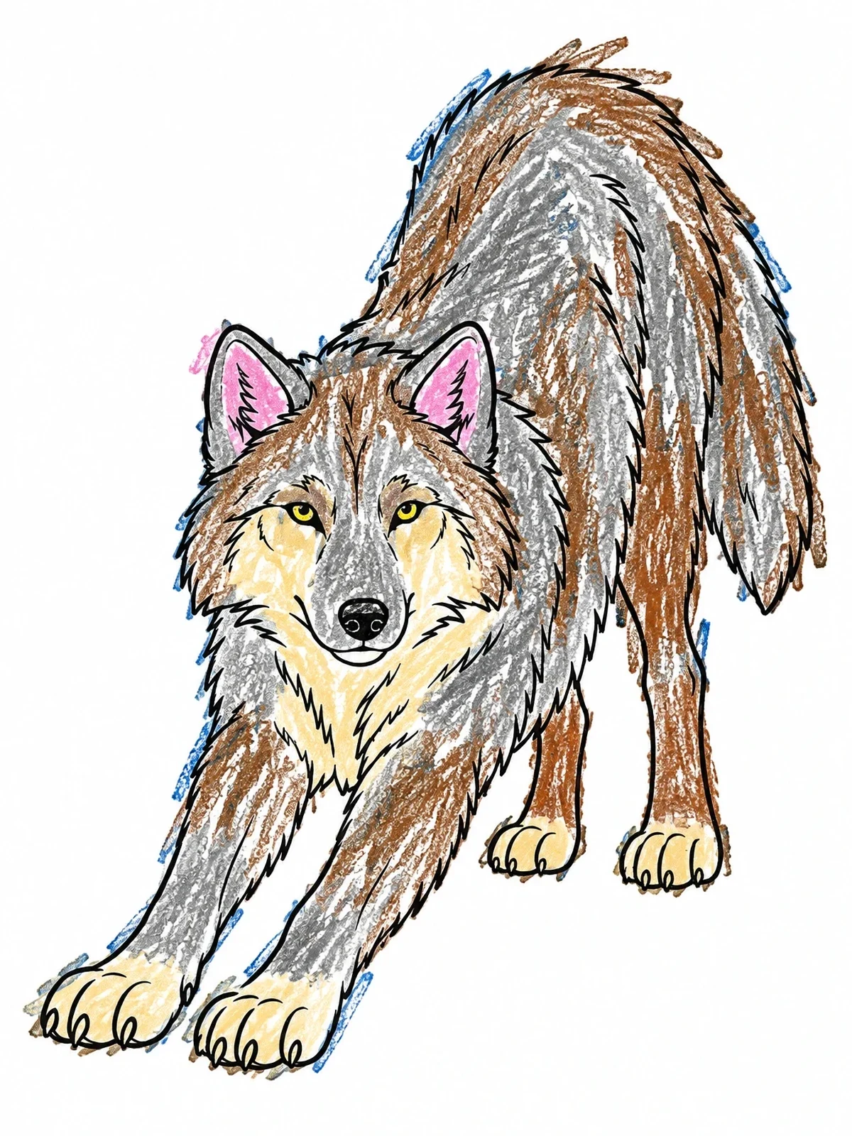 Colored example of the Stretching Wolf Line Art coloring page