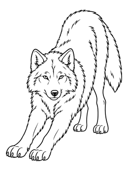 A wolf coloring page showing a furry wolf stretching its front paws forward.