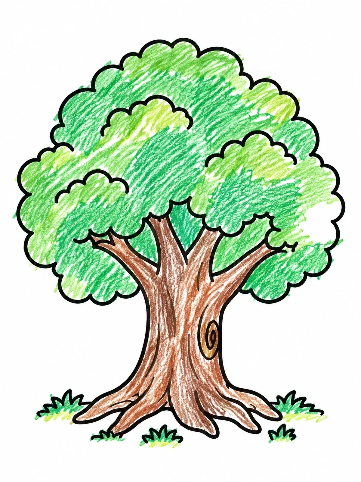 Colored example of the Sturdy Oak Tree With Foliage coloring page