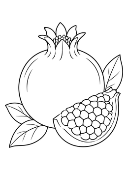 Free printable Fresh Pomegranate And Slice coloring page