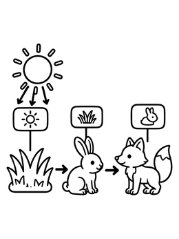 Free printable Sun Grass Rabbit And Fox Food Chain coloring page