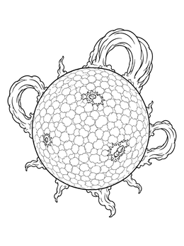 A detailed sun coloring page showcasing textured solar granules and looping plasma prominences.