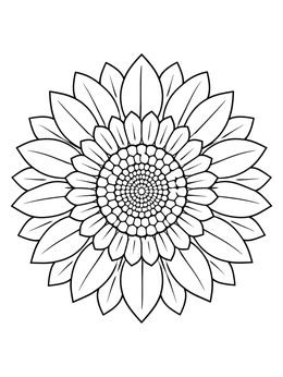 A detailed sunflower coloring page featuring concentric rings of petals and seeds.