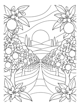 A scenic florida state coloring page featuring rows of orange trees stretching toward a glowing sun.