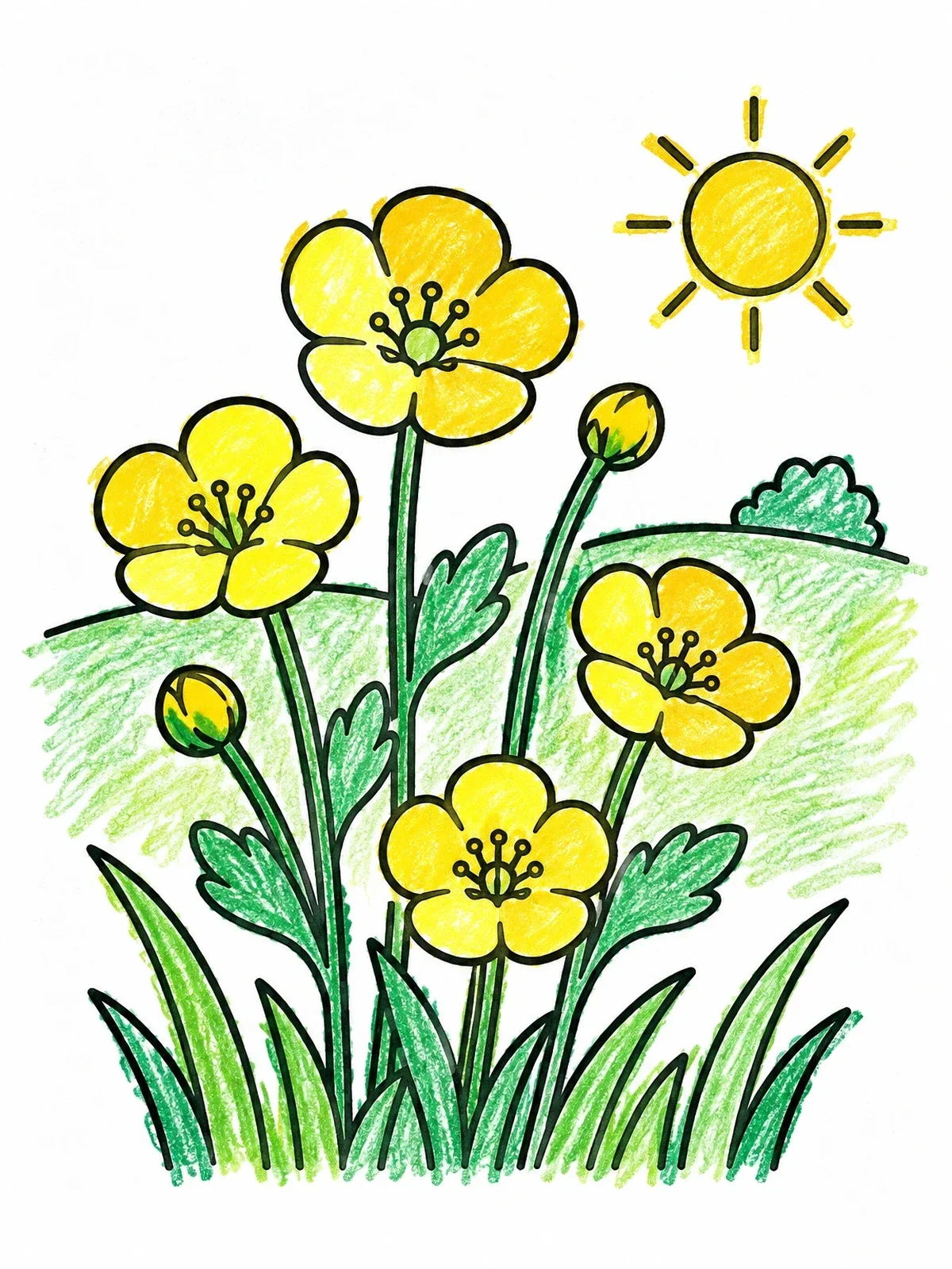 Colored example of the Sunny Wild Buttercup Flowers coloring page